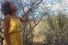 A cantora - que também é conhecida como “A Patativa do Cariri" - tem o seu trabalho musical reconhecido pelo Brasil afora