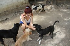 Michelle Cristina é fotógrafa, mas encontra felicidade em se doar num projeto de vida maior: dar amor e carinho a animais abandonados e maltratados
