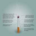 infográfico cigarro.jpg
