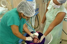 Um banho que dura até 15 minutos com água morna propicia aos recém-nascidos uma gradativa adaptação ao mundo