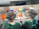 Profissionais de diferentes regiões trocam colaborações