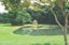 26.08.19_jardim botanico © roberto guedes (46).JPG