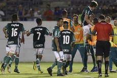 A equipe do Palmeiras está fechando um contrato de patrocínio com a Crefisa no valor de R$ 80 milhões