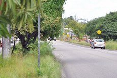 O crescimento das árvores prejudica a visibilidade dos motoristas com relação à sinalização, podendo causar aumento de acidentes  