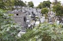 Além da violação e do roubo de peças em bronze, o Boa Sentença sofre ainda com o mato e com a ação de falsos trabalhadores que praticam golpes nas famílias que têm túmulos no local
