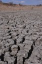 SECA NO VALE DO PIANCÓ FOTOS DE (ORTILO) (21).JPG