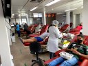 hemocentro.jpg hemocentro.jpg