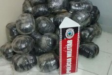 Os pacotes embalados em sacos plásticos estavam no porta-malas do veículo. Um  homem foi detido na operação policial