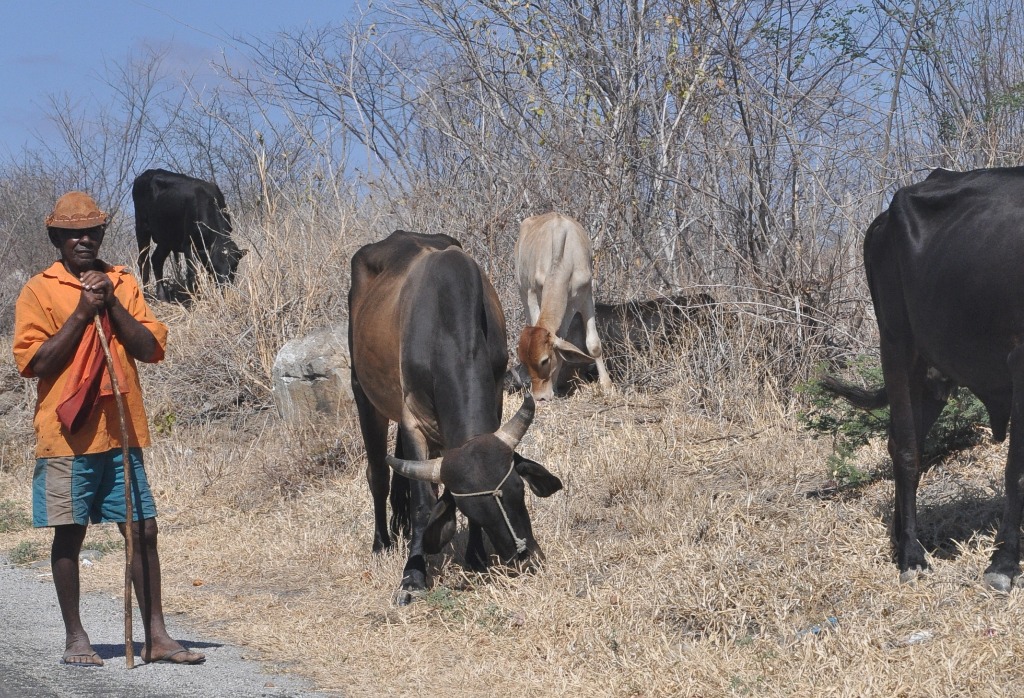 SECA NO SERTÃO DA PARAIBA-(OA) (4).JPG