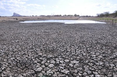 SECA NO VALE DO PIANCÓ FOTOS DE (ORTILO) (32).JPG