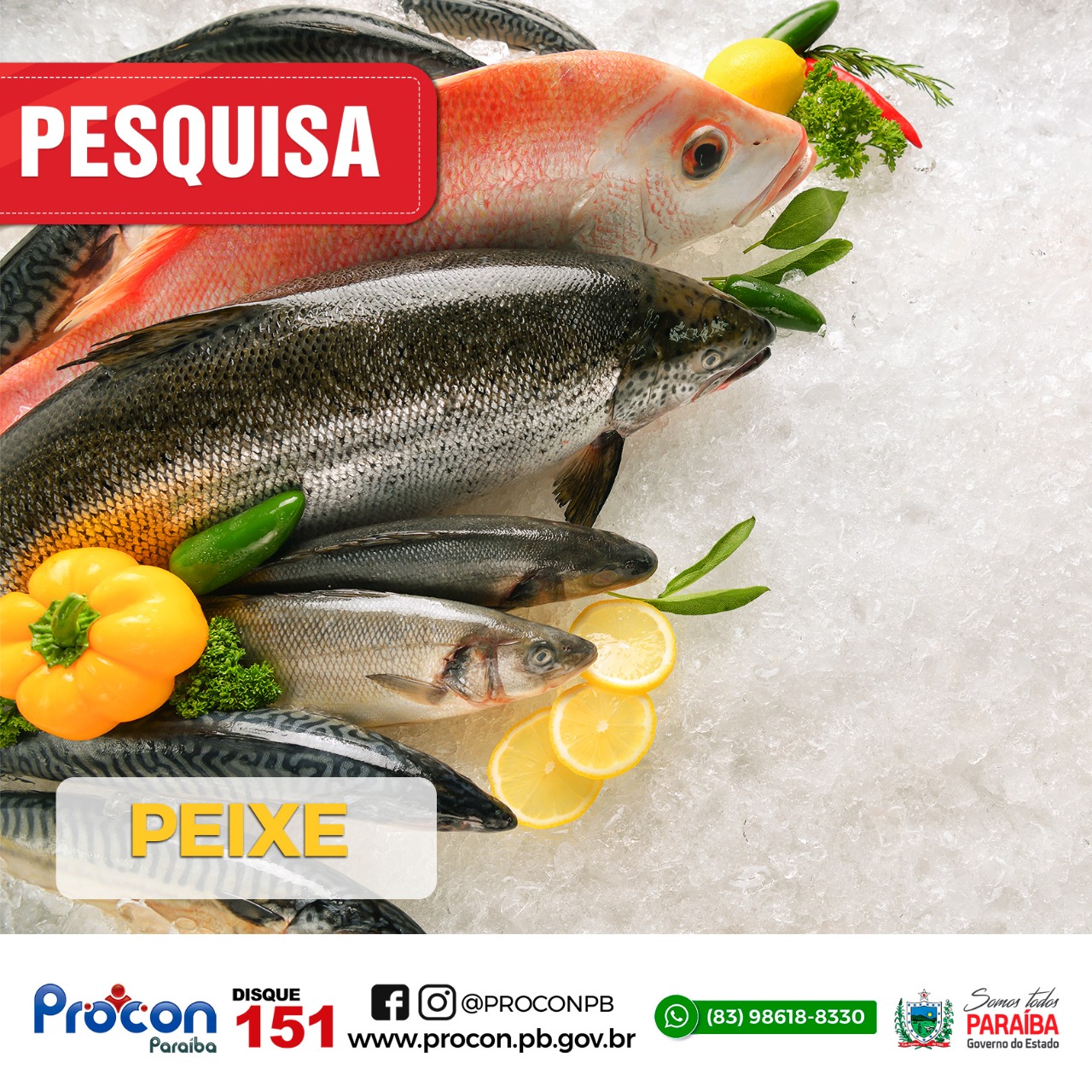 Confira a pesquisa de preço dos peixes que PROCON-PB realizou em João Pessoa