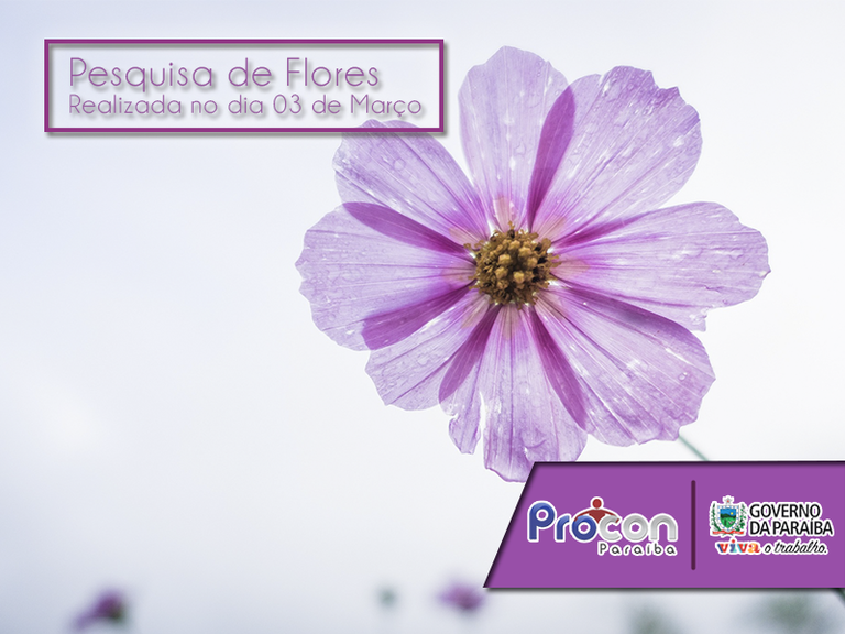 flor.png