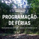 passarinhada e trilha.jpeg