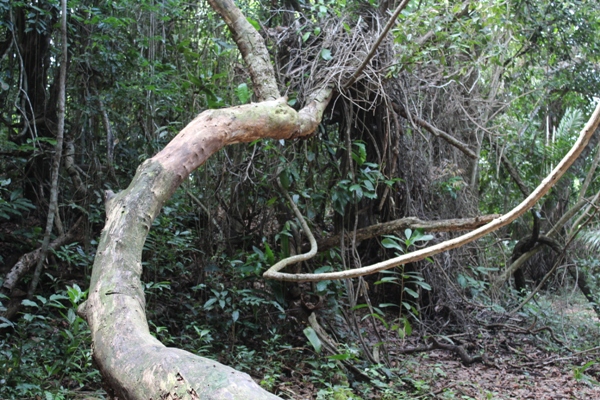 JBBM 25-5-2019 Bayeux.jpg