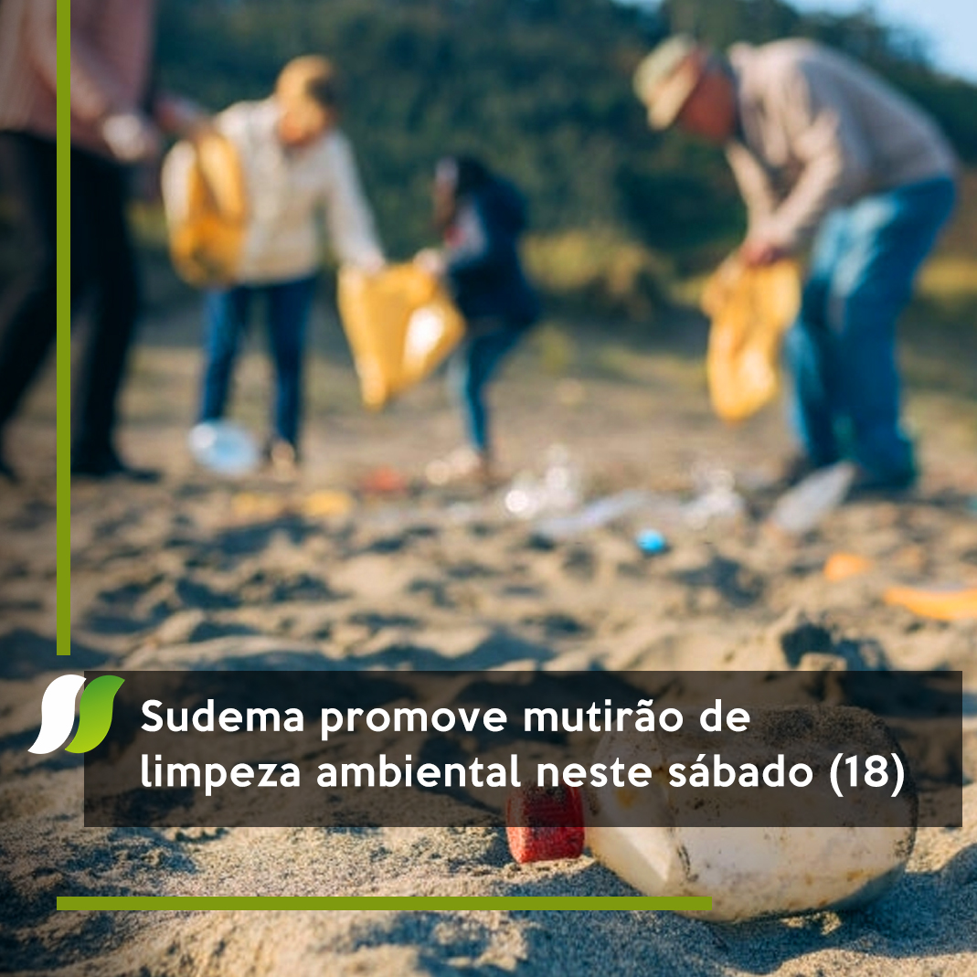 mutirão.jpg