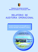 RELATÓRIO DE AUDITORIA OPERACIONAL NO HOSPITAL ESTADUAL DE EMERGÊNCIA E TRAUMA SENADOR HUMBERTO LUCENA
